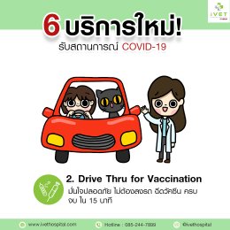 6 บริการใหม่ ยกระดับคุณภาพ เพิ่มความประทับใจ ปลอดภัยจาก COVID-19